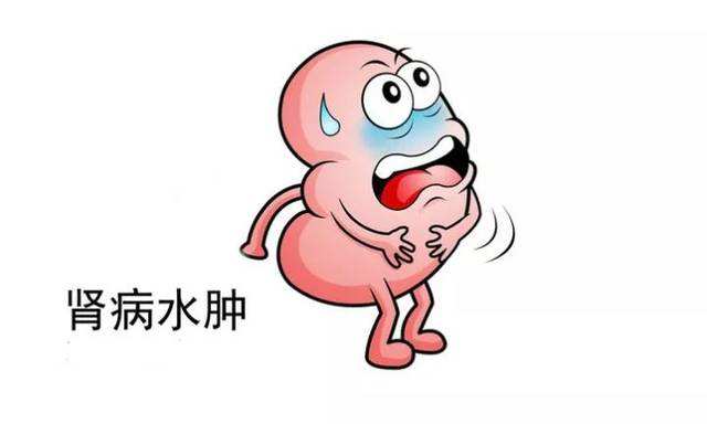 糖尿病肾病症状三:发生贫血状况