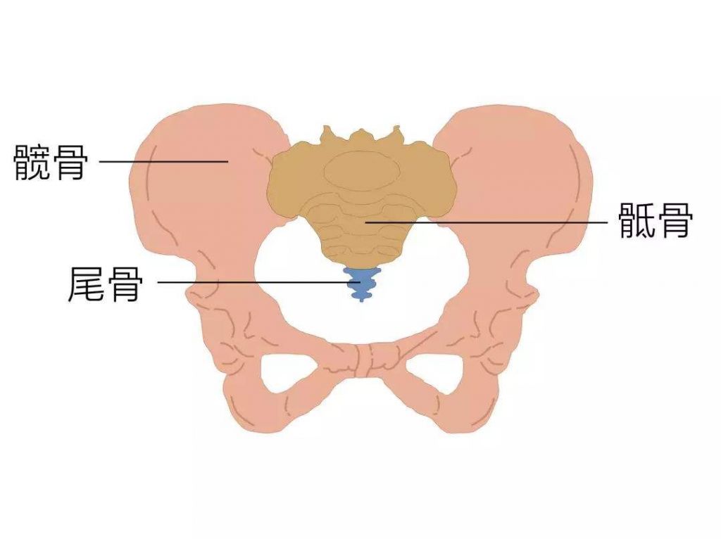 姿态分析仪