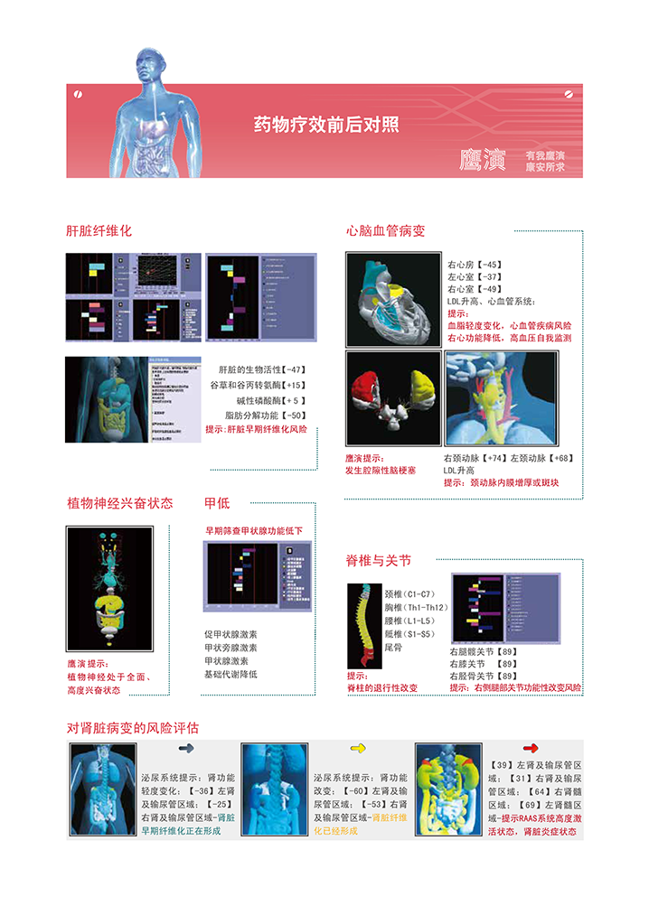 人体功能扫描仪