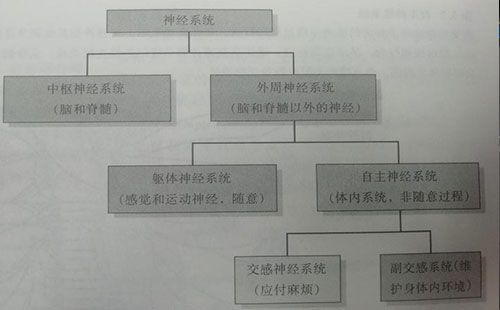 精神压力分析仪