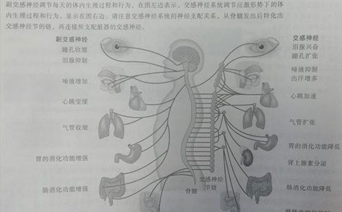 精神压力分析仪