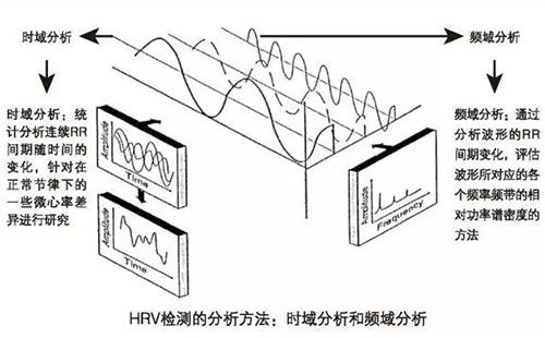 精神压力分析仪