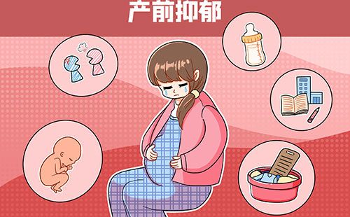 心率变异分析仪