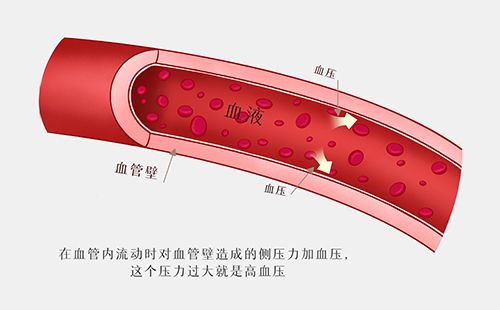 动脉硬化检测仪