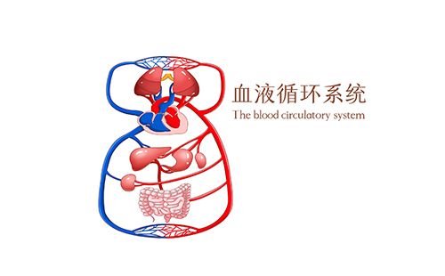 动脉硬化检测仪