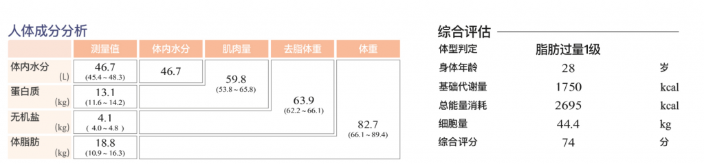人体成分分析仪