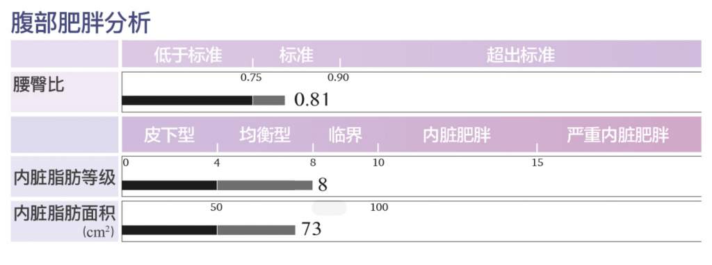 人体成分分析仪