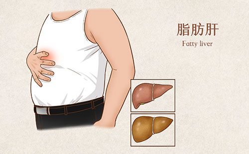 人体成分分析仪