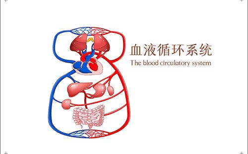 动脉硬化检测仪