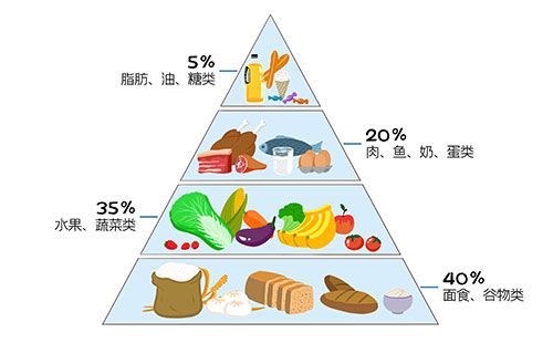 人体成分分析仪