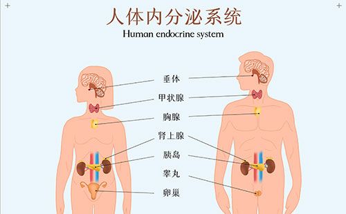 精神压力分析仪