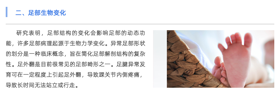 步态分析系统