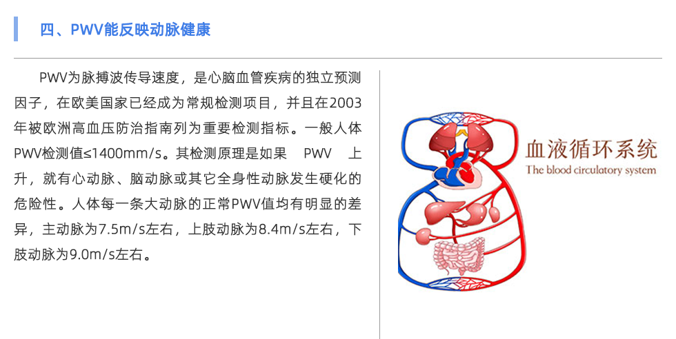 动脉硬化检测仪