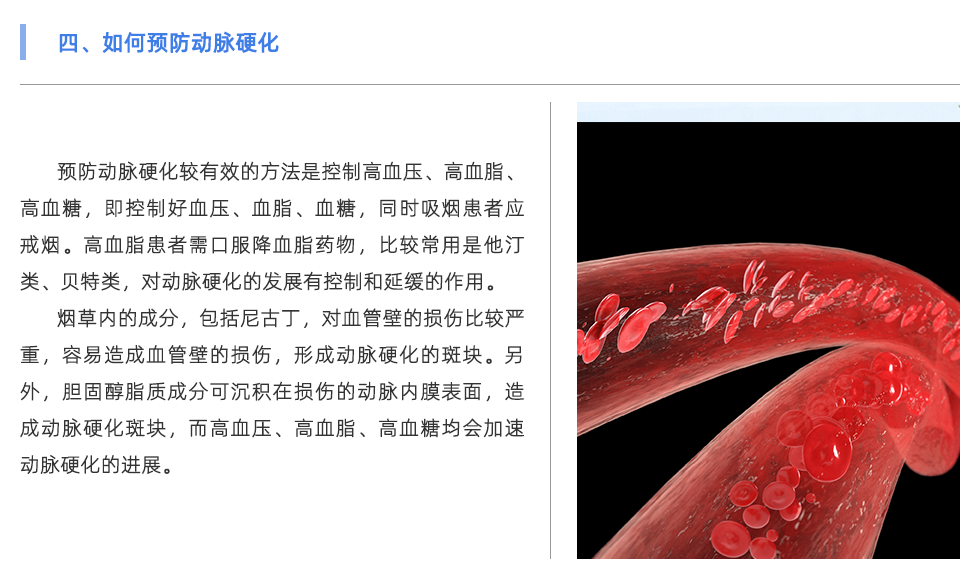 动脉硬化检测仪