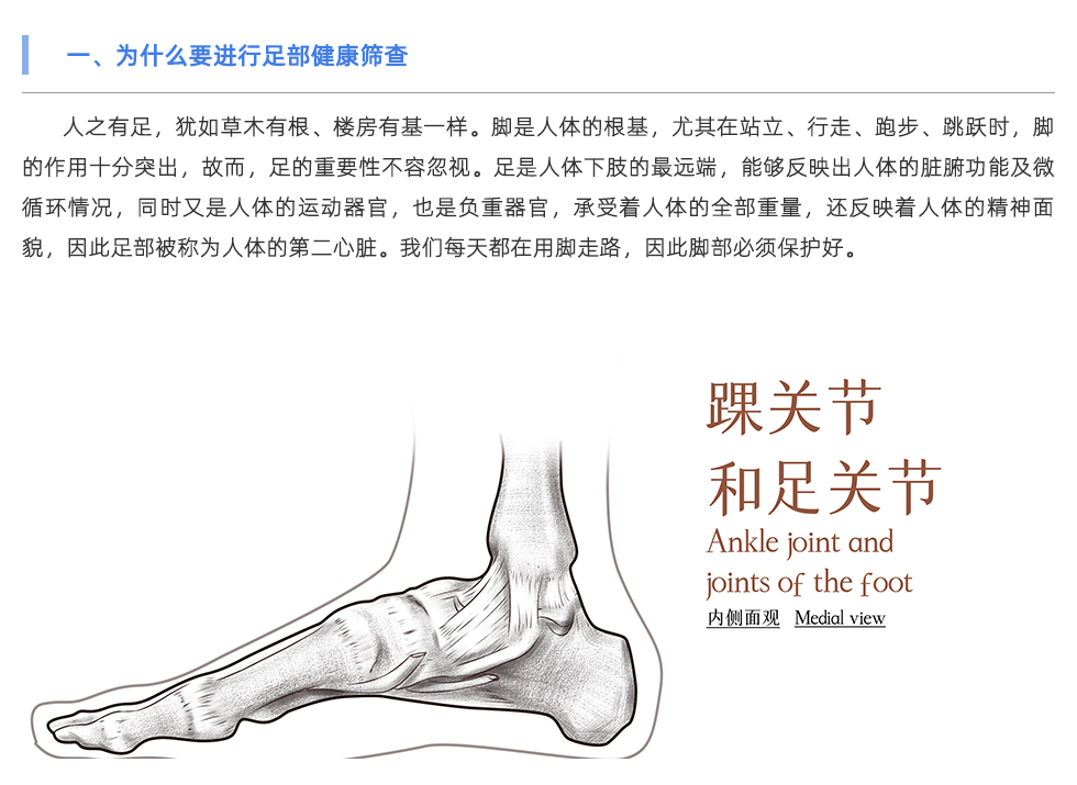 足底压力分析系统