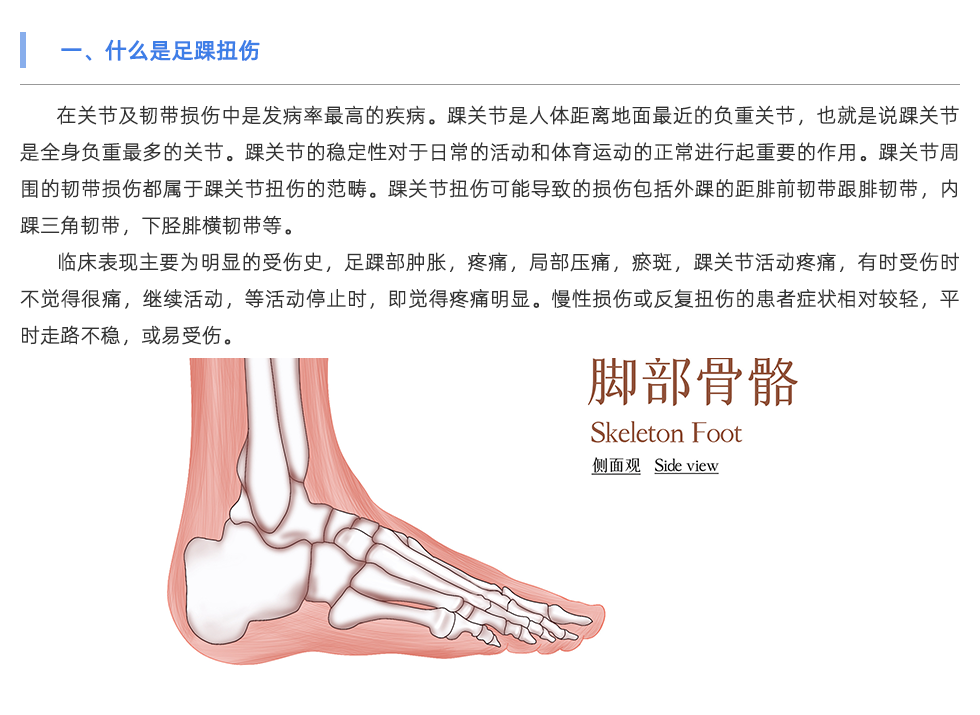 足底压力分析系统