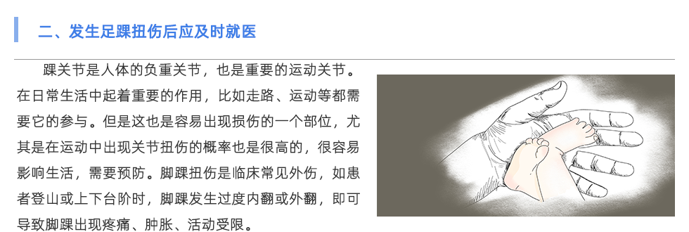 足底压力分析系统