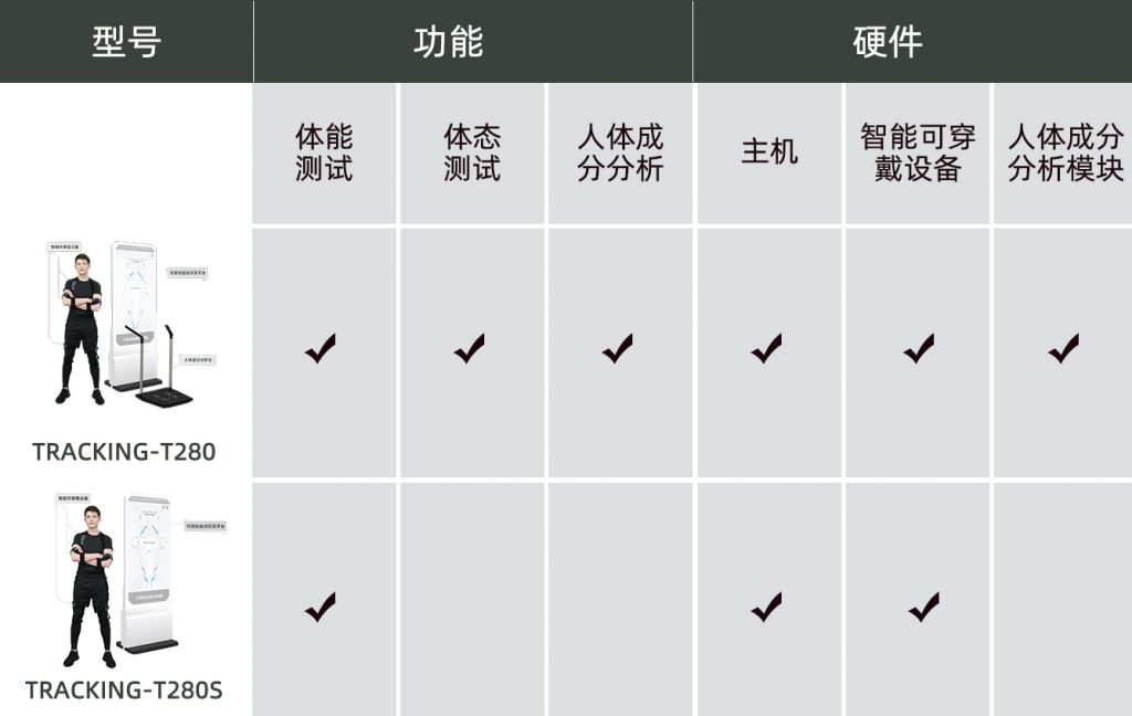 体能评估系统