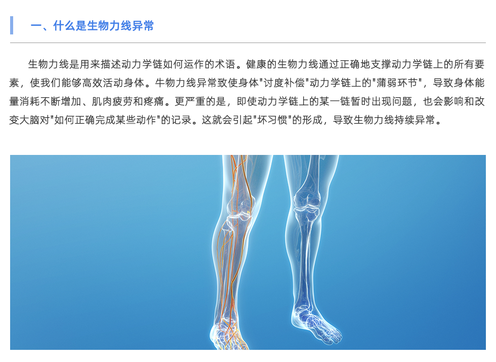 定制鞋垫
