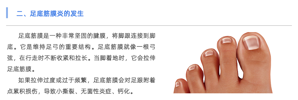 足底压力分析系统