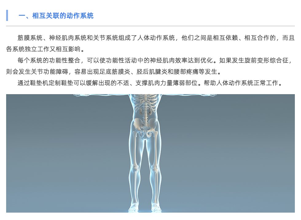 鞋垫机