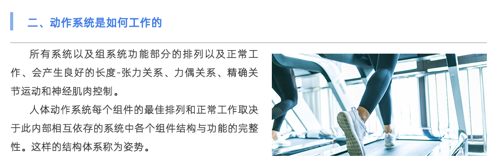 鞋垫机