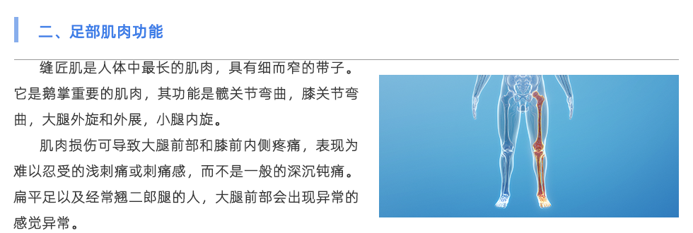 步态分析仪