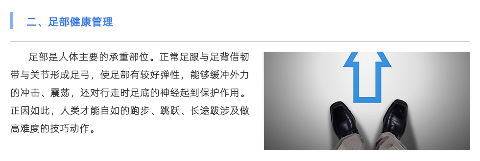 鞋垫机