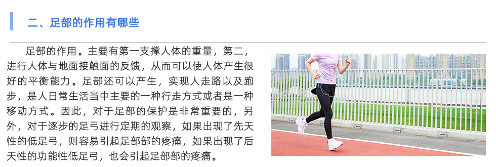 足底压力分析系统