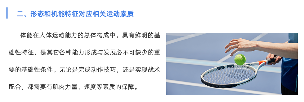 体能测试仪