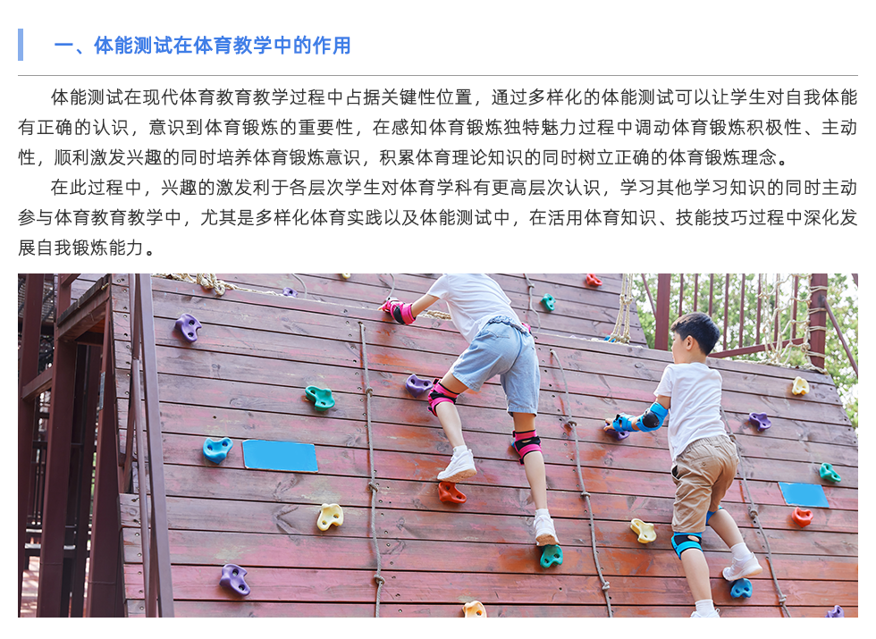 体适能测试仪