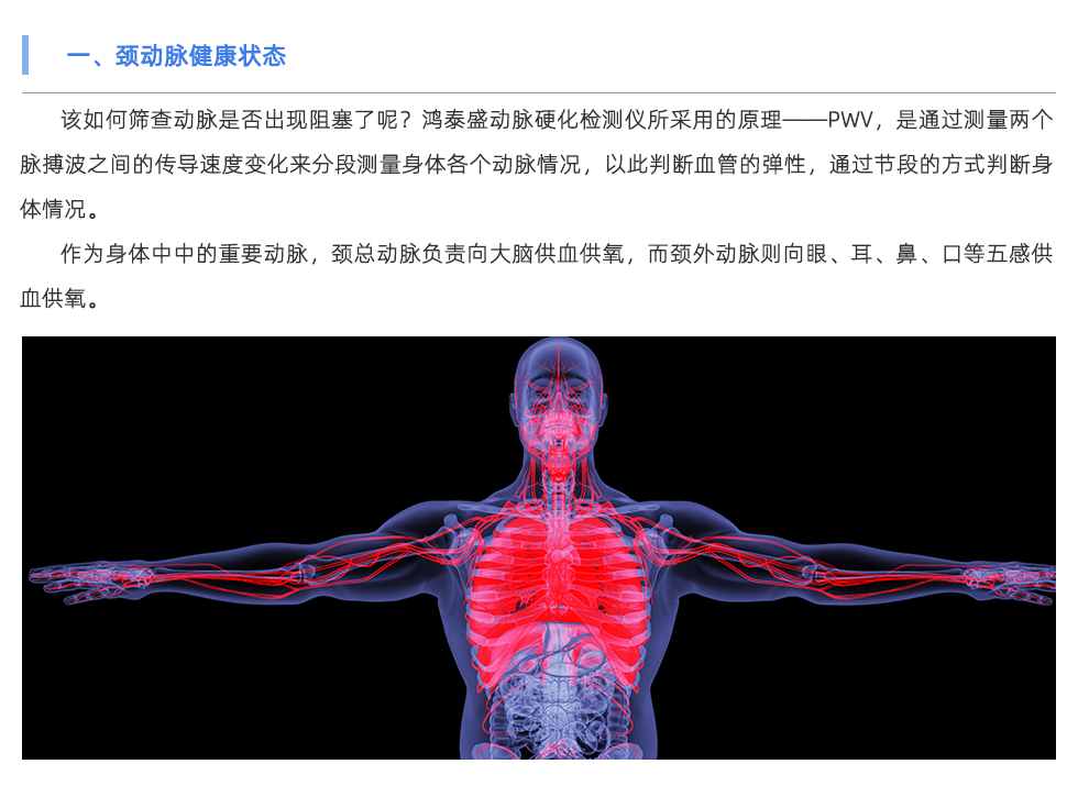 动脉硬化检测仪