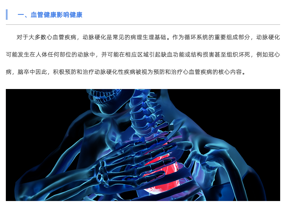 动脉硬化检测仪