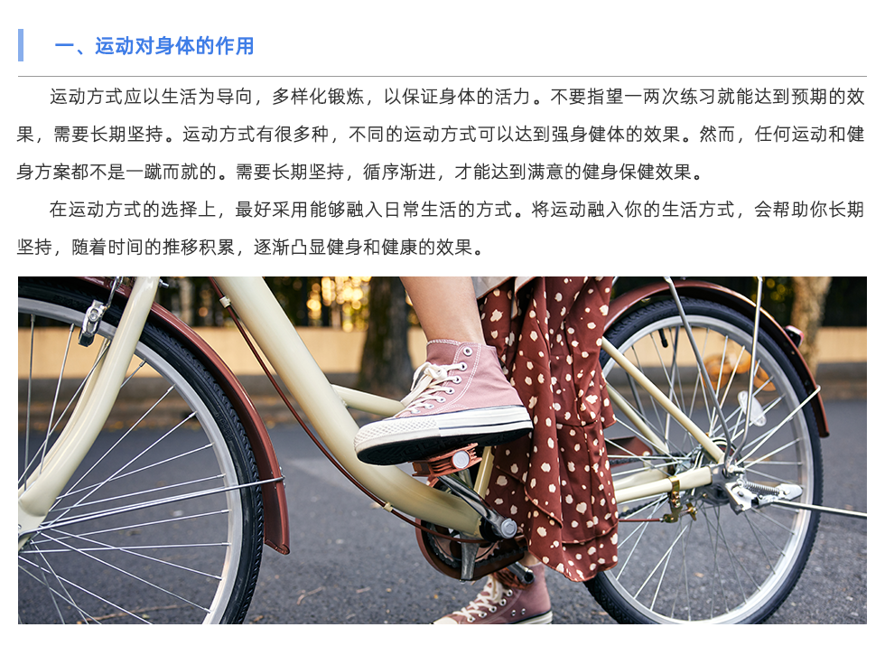 体适能测试仪