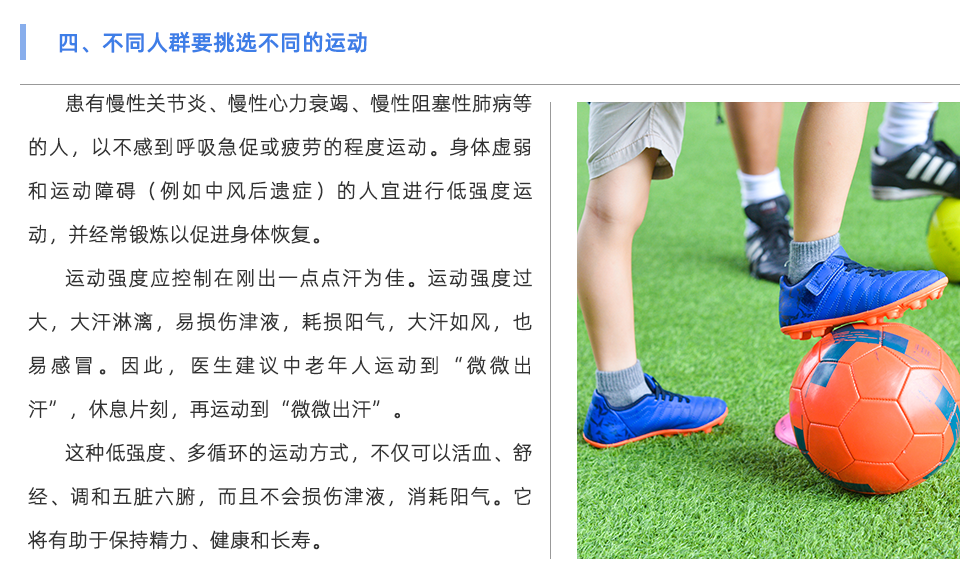 体适能测试仪
