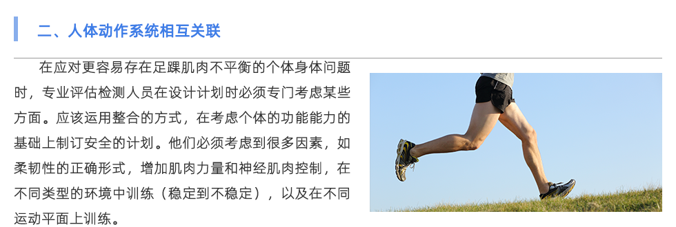 鞋垫机