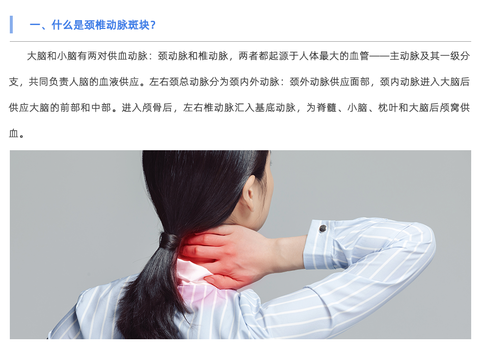 动脉硬化检测仪