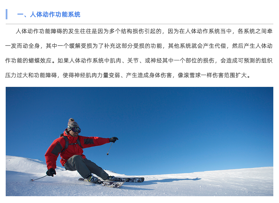 鞋垫机