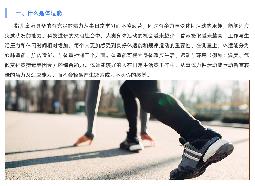 体适能测试仪