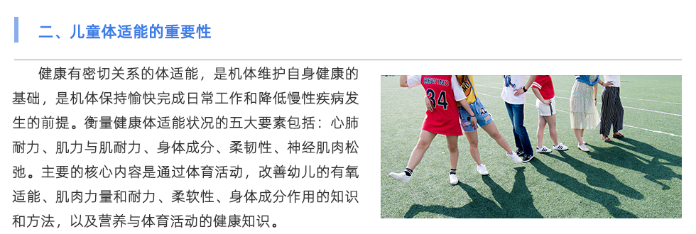 体适能测试仪