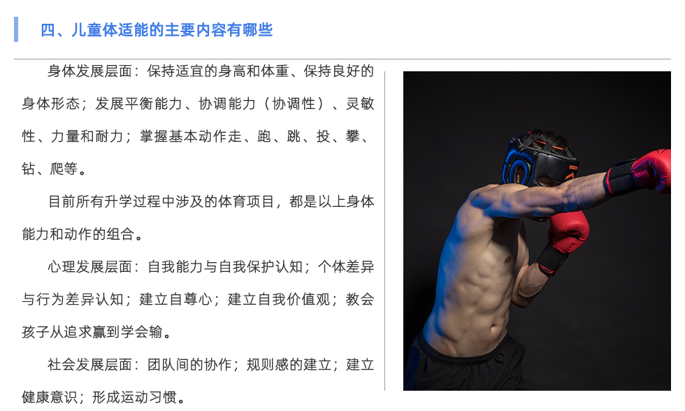 体适能测试仪