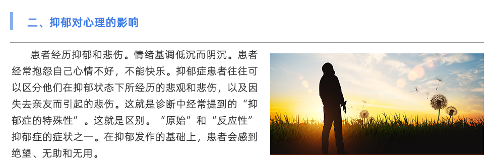 心率变异分析仪