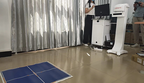 体态评估仪