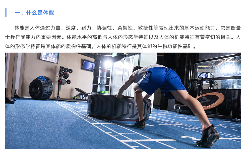 体能测试系统
