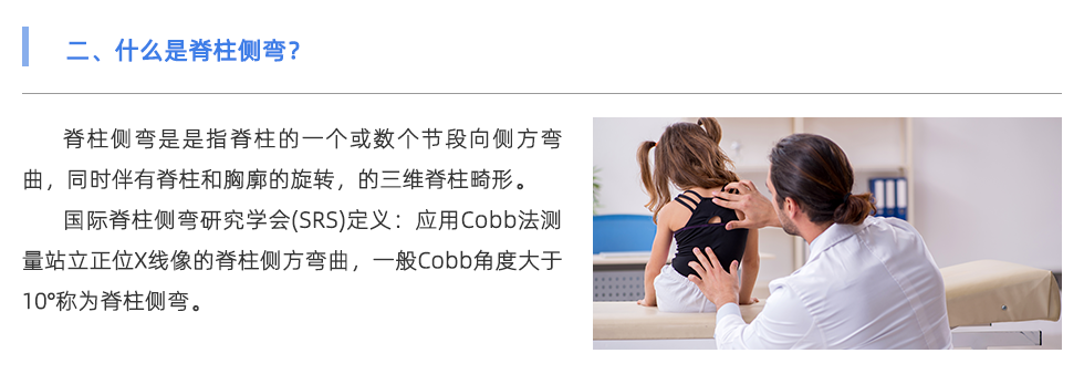 身体姿态检测仪