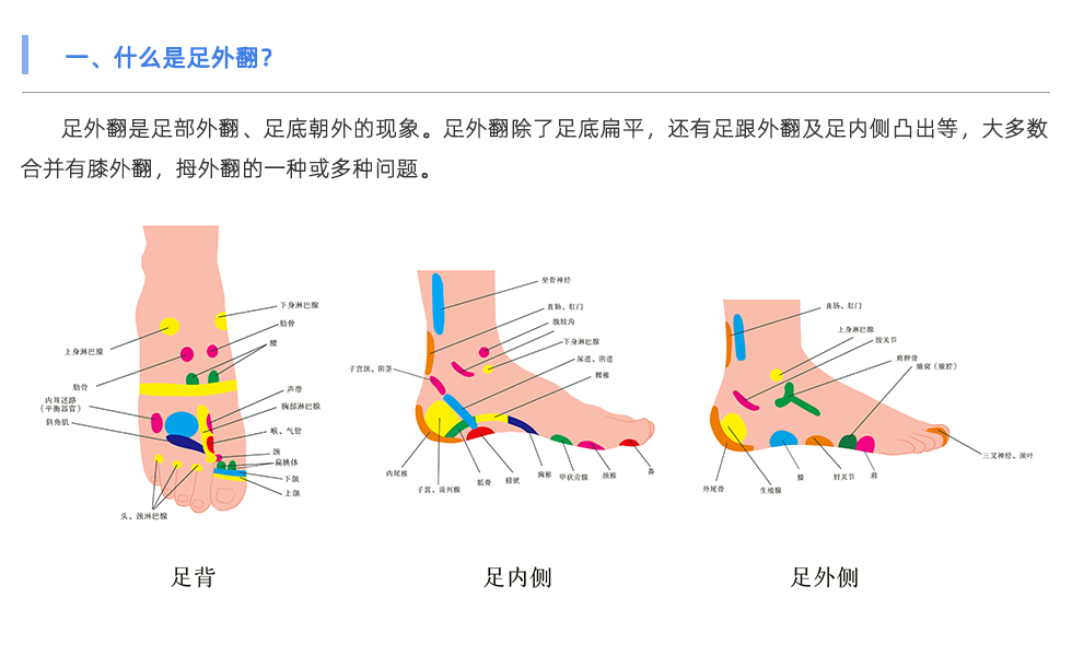 足底压力分析系统