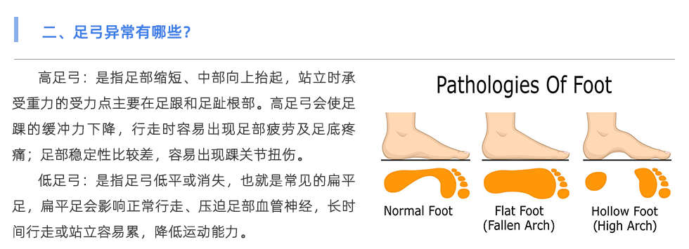 足底压力分析系统