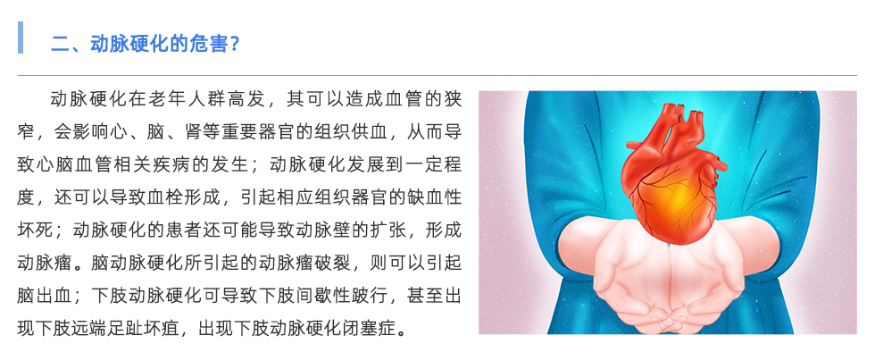动脉硬化检测仪