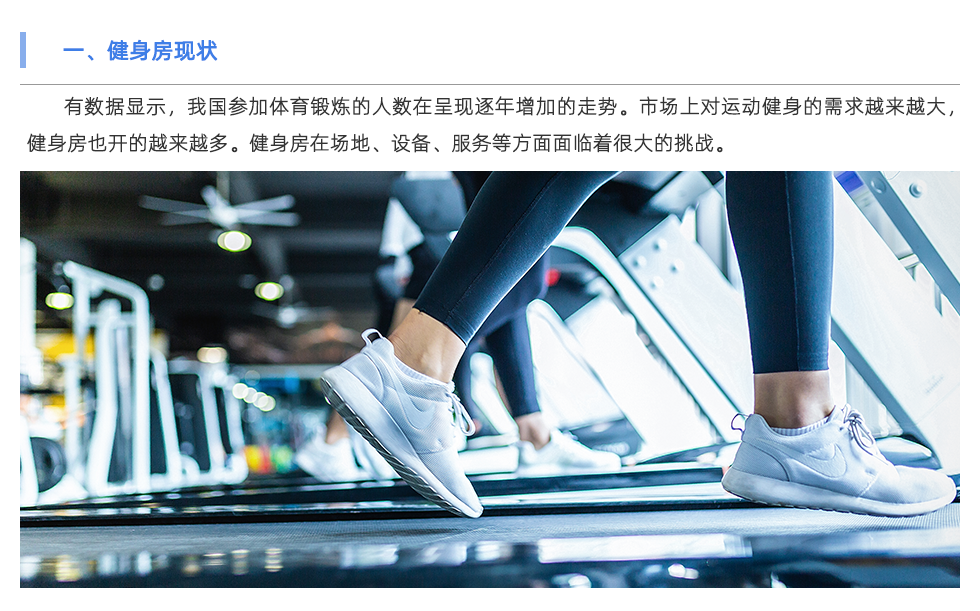 体能检测仪