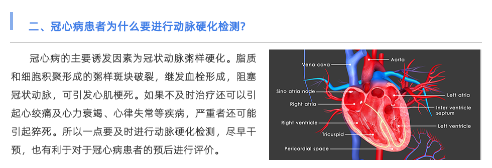 动脉硬化检测仪